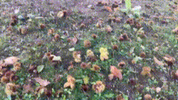 bloggif_633bddc81db80